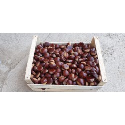 Cassetta di castagne da 10 kg