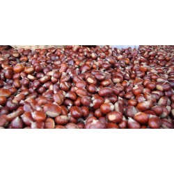 Scegli tu quante castagne Vuoi